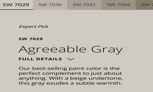 Sherwin William's Agreeable Gray And Other Trending Colors For 2024